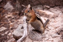 09_Rocky Mountain National Park_06